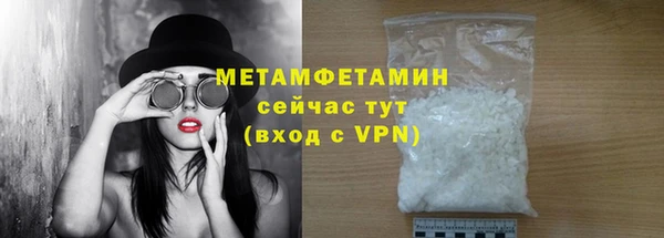 трава Коряжма