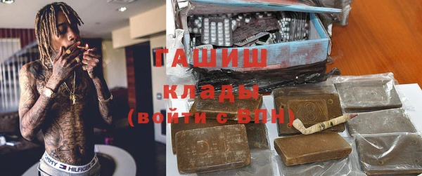 трава Коряжма