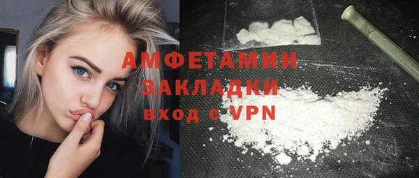 трава Коряжма