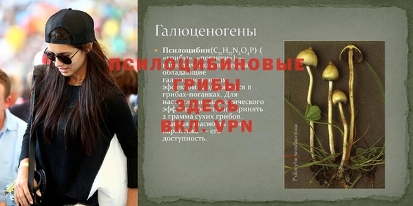 трава Коряжма
