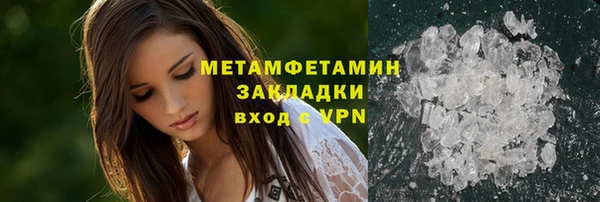 трава Коряжма