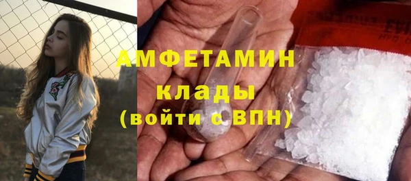 трава Коряжма