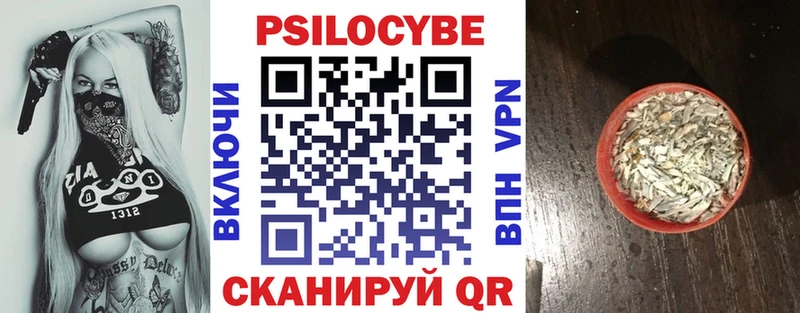 Купить где  Белоозёрский  Псилоцибиновые грибы Psilocybine cubensis 